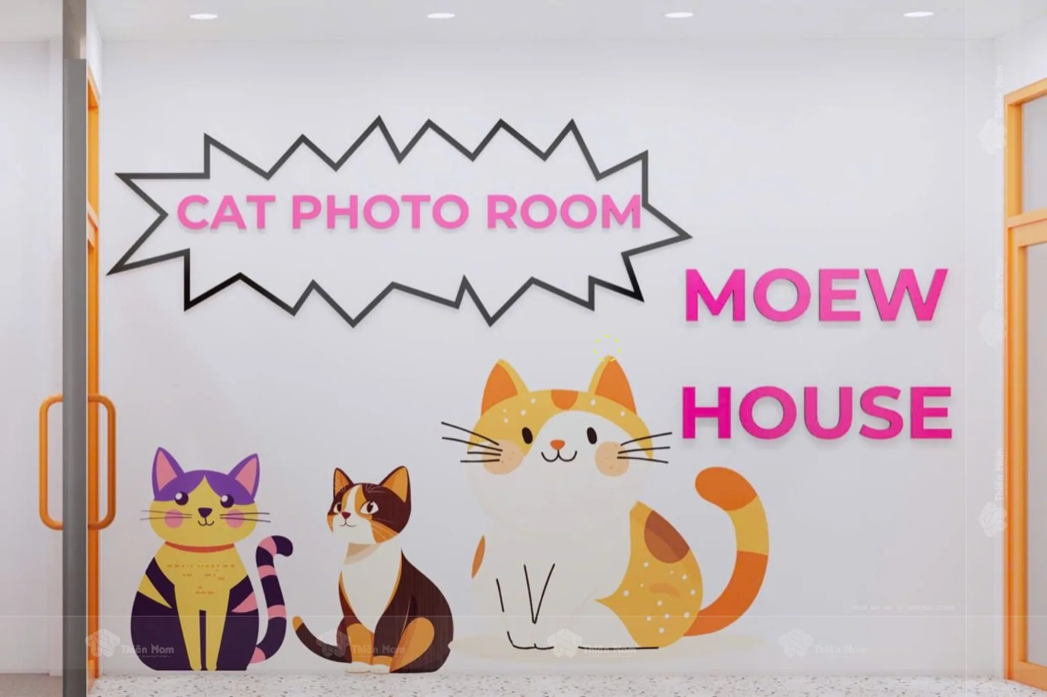 Cat Photo Room tạo concept riêng biệt